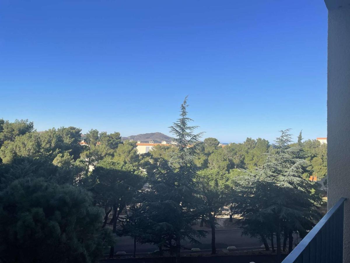 Appartement Renove Avec Clim, Parking Et Terrasse A 500M Du Port - Fr-1-225C-113 Banyuls-sur-Mer Zewnętrze zdjęcie